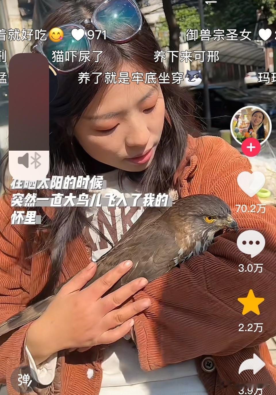 万物皆有灵！女孩静静坐在公园长椅上晒太阳，一只威武的老鹰忽然从天而降，稳稳落在她