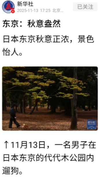 正当全国人民都在批斗日本首相高市早苗之时，新华社突然发了一组日本东京代代木公园的
