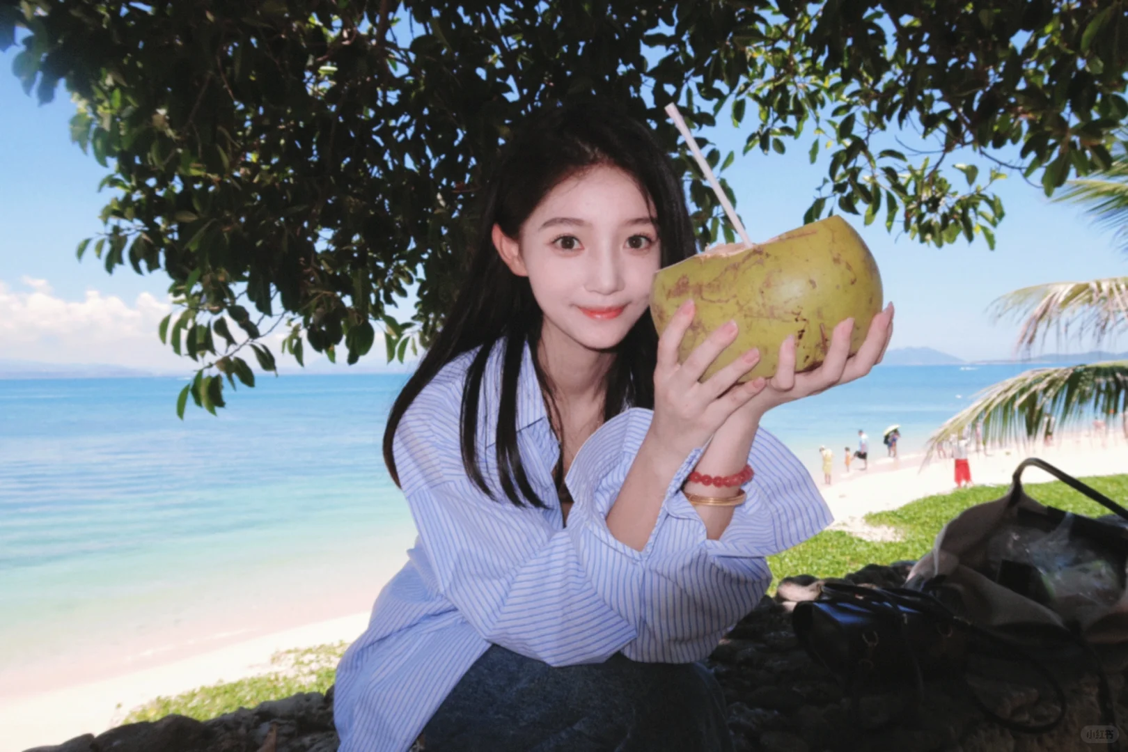 法大研0️⃣|海南椰子味的夏天🥥🫧