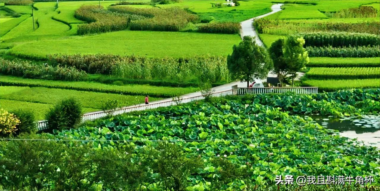 上联：小路弯弯牵旧梦
下联：有请雅士[玫瑰][玫瑰][玫瑰]