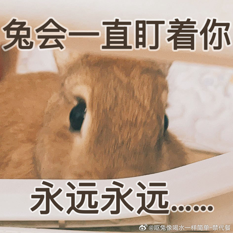 13737🐇【兔】is watching you！！！ 