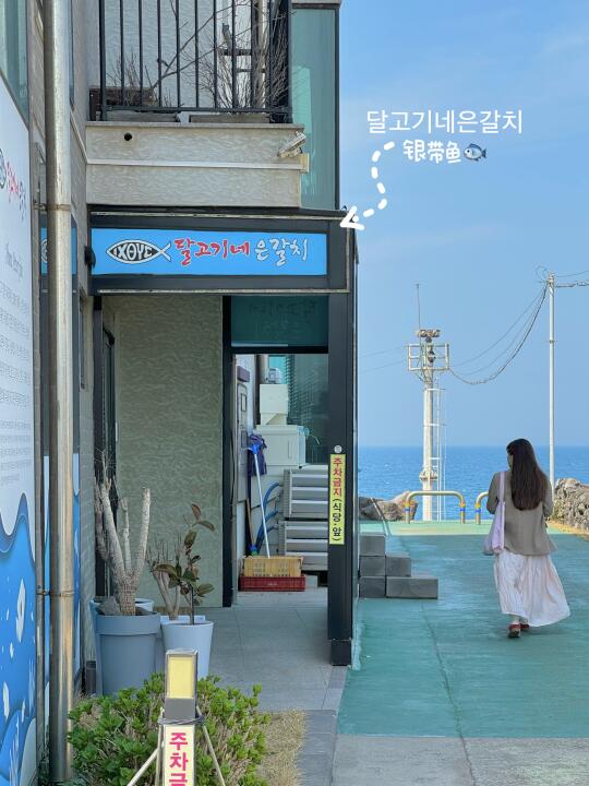 济州岛海边不起眼的小店！！吃到了开30年带鱼