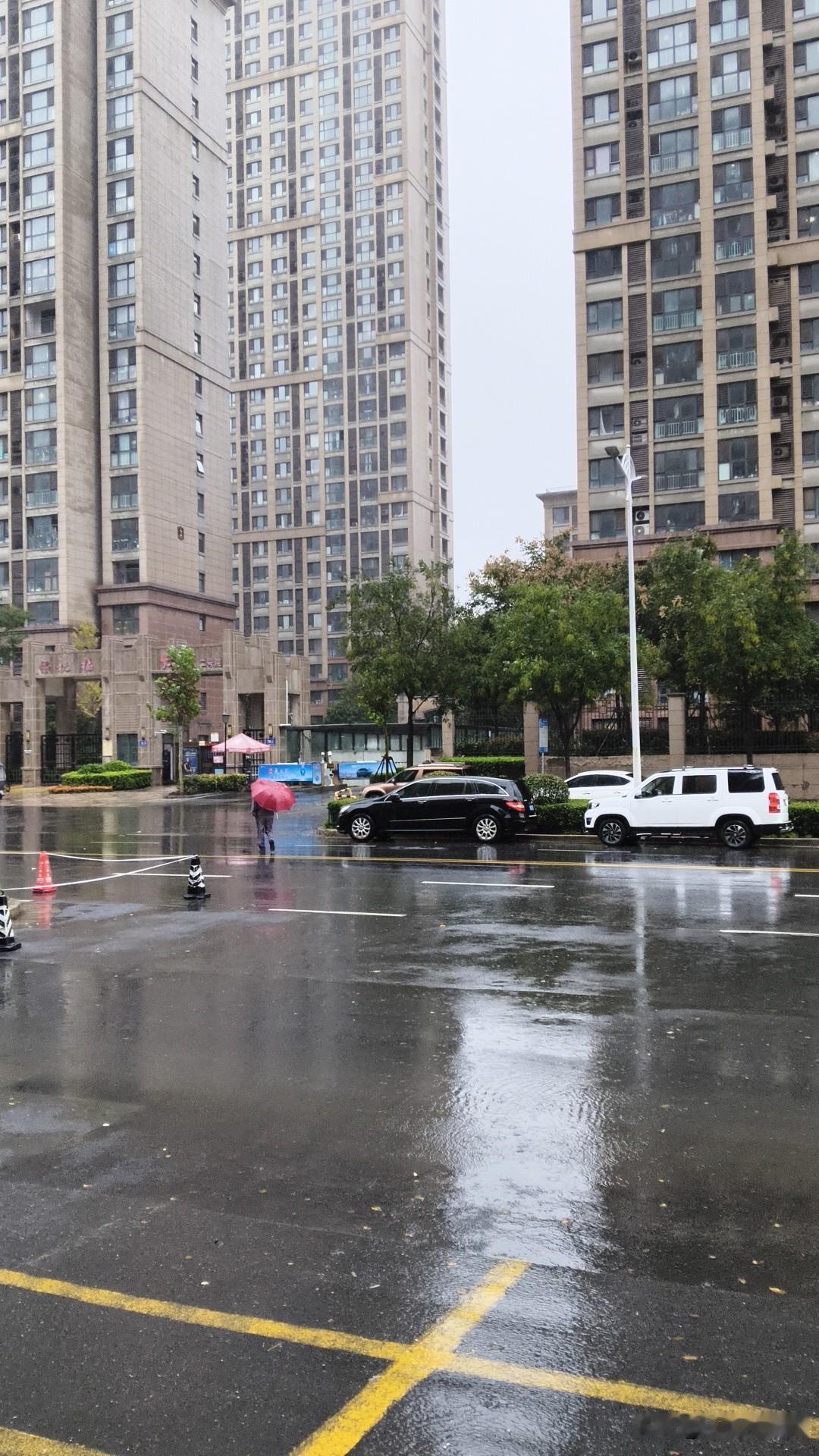 郑州市气象台发布天气预报：本周主要降水时段为7月6日至7日、7月10日至11日。