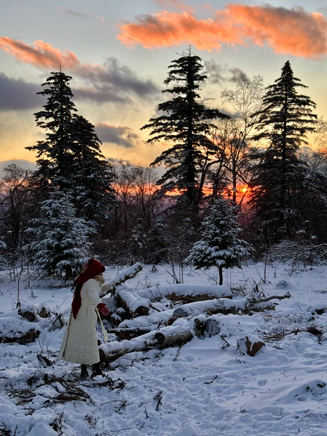 2024.11.18长白山雪岭实拍！！太美了～