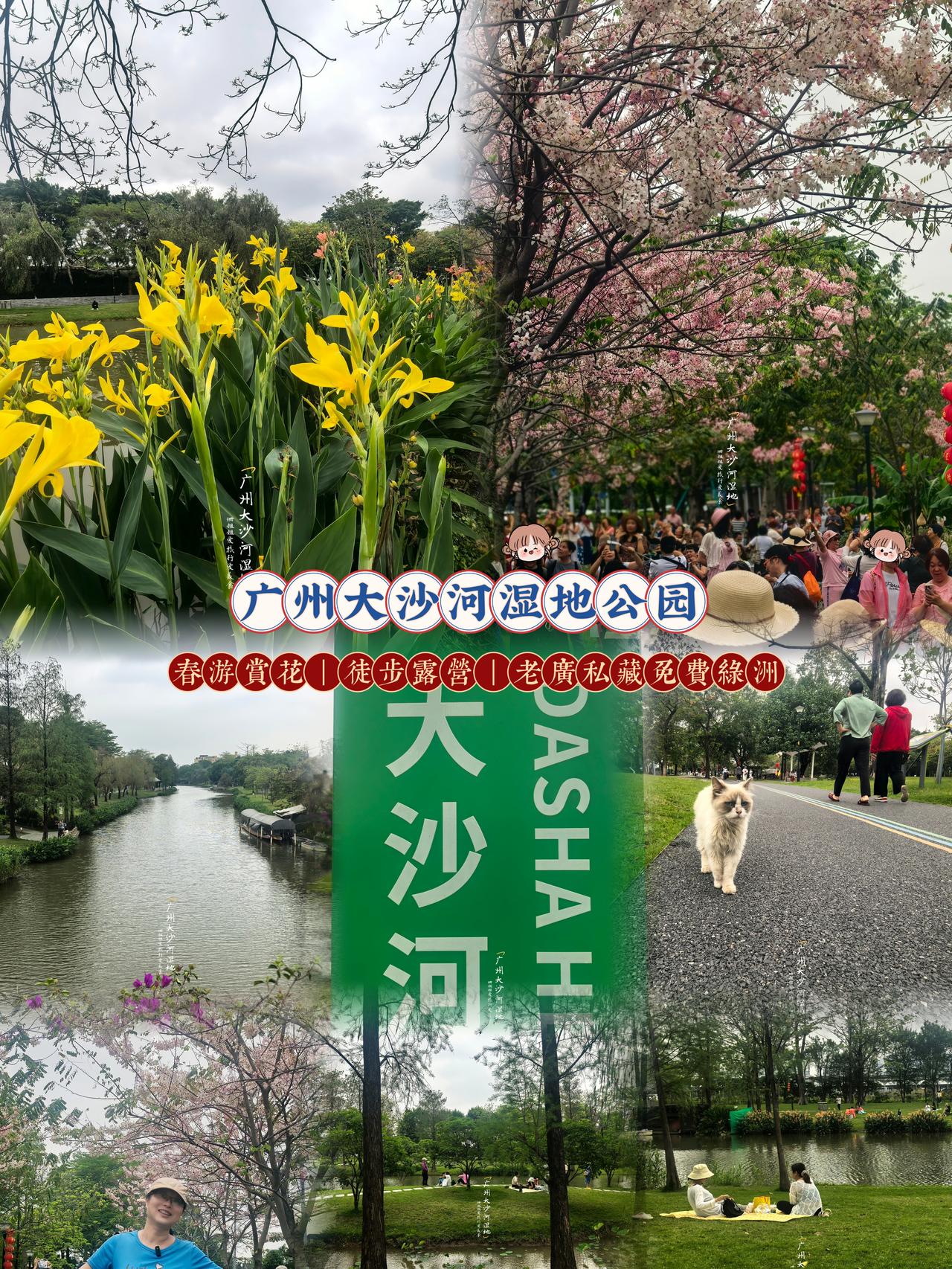 老广私藏免费绿洲‼️周末放空太舒服
 
🌿整体环境
大沙河湿地真的是广州城西超