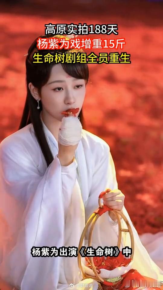 杨紫拍生命树高反持续了188天188天与高反为伴，在昼夜温差极大的高原上，她既要