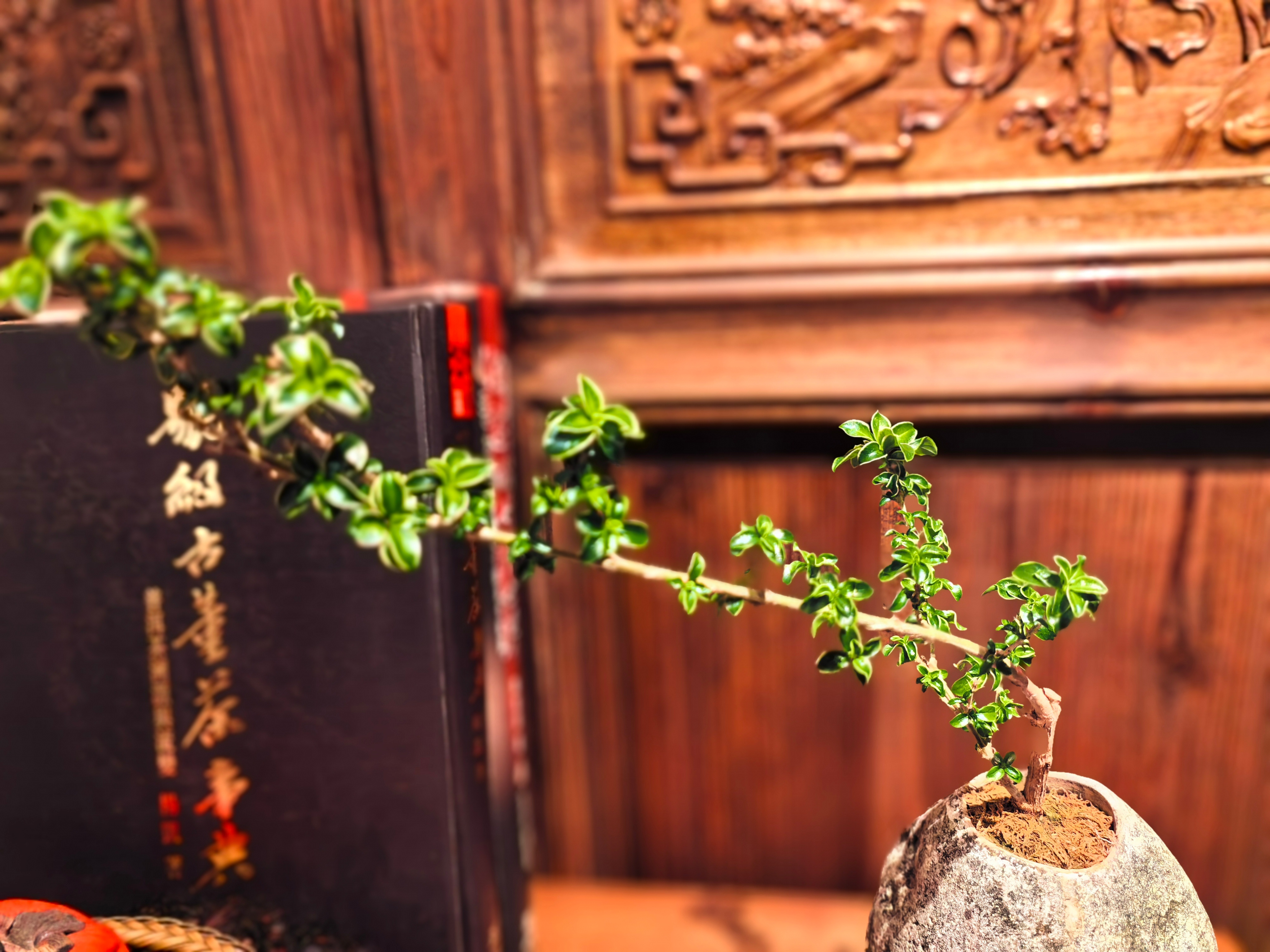 闲话投资1207孙子曰：非利不动，非得不用，非危不战。个人随笔：1. 孙子认为，