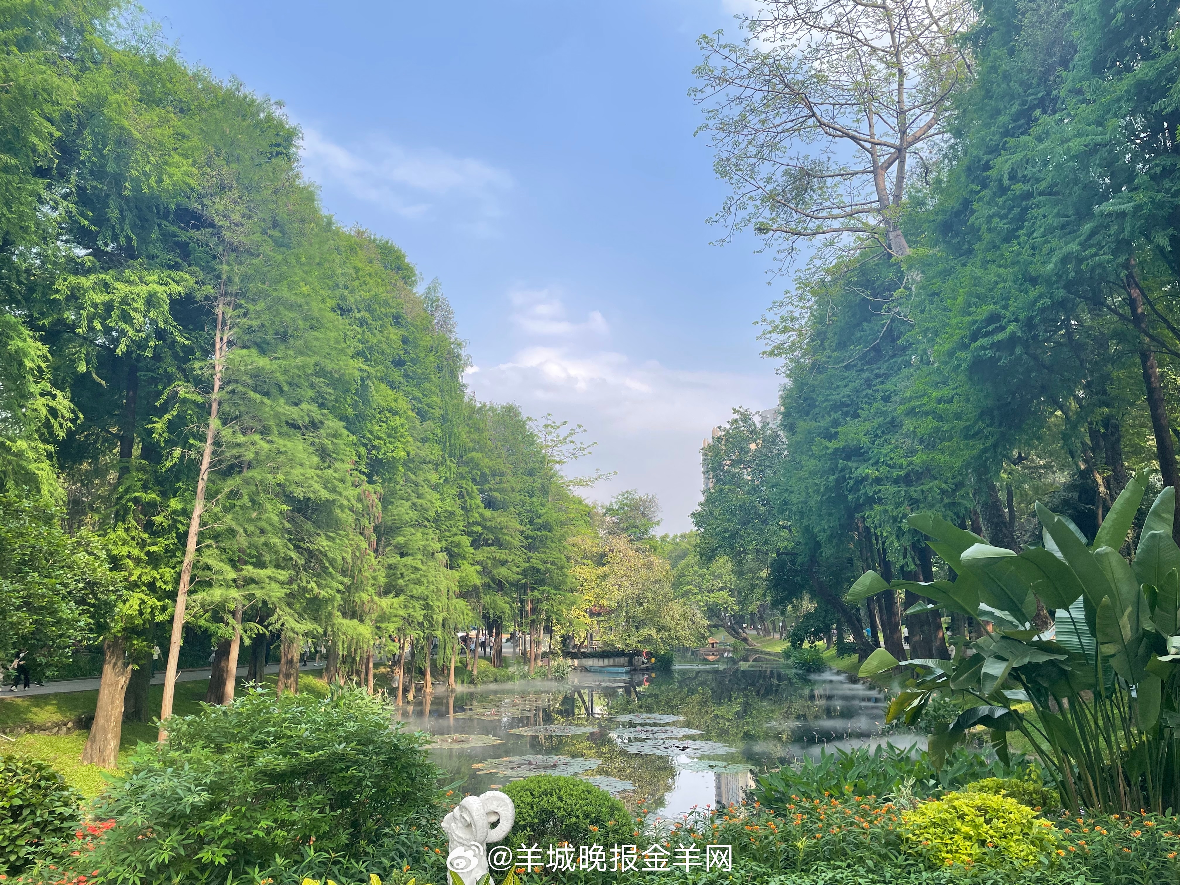 #早安#心有热爱，眼中自有光芒。去找到你所热爱的事，并为之全力以赴，活成自己喜欢