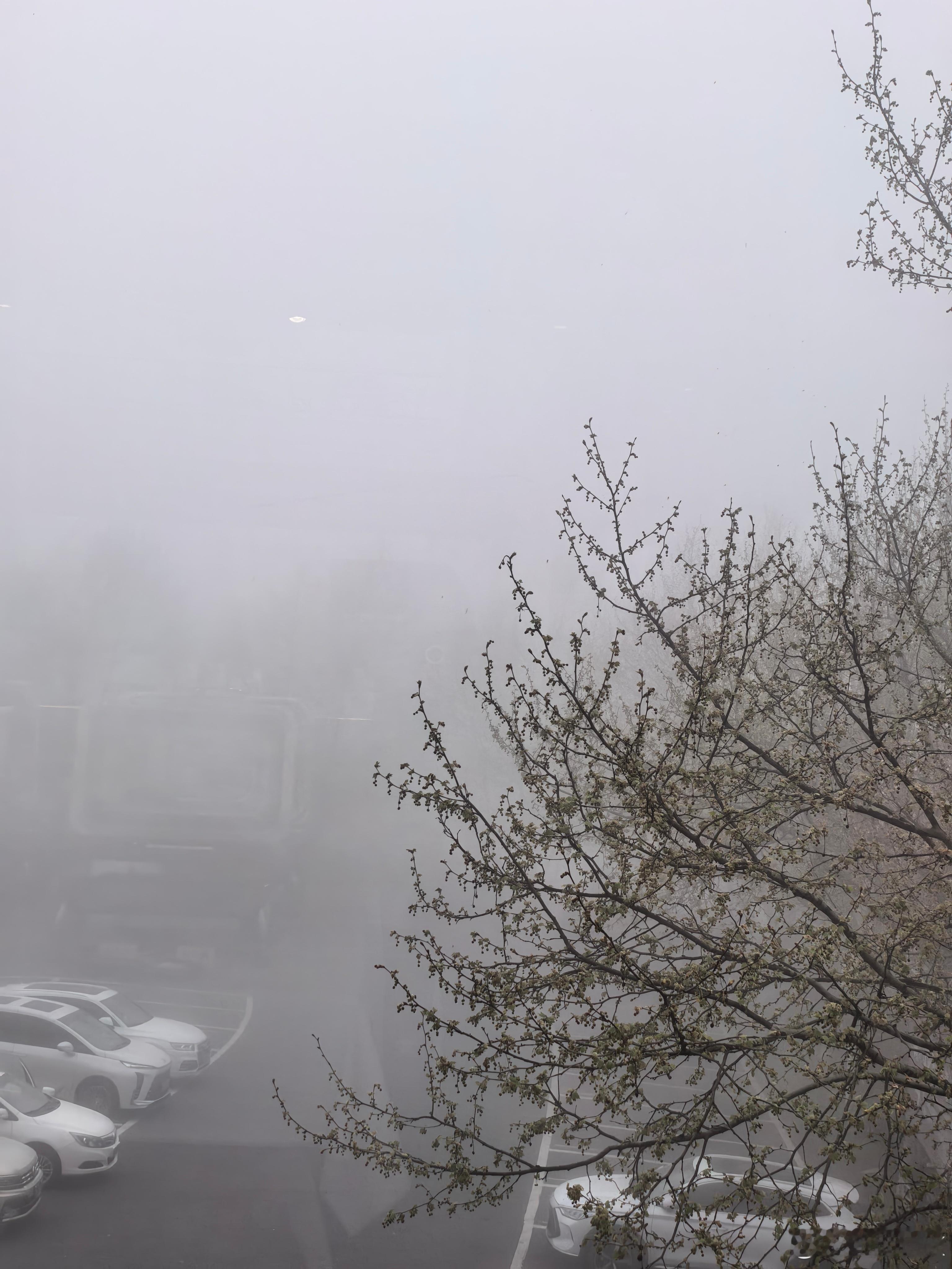 这个能见度跑山最重要的是什么？有一台好车！！尚界Z7