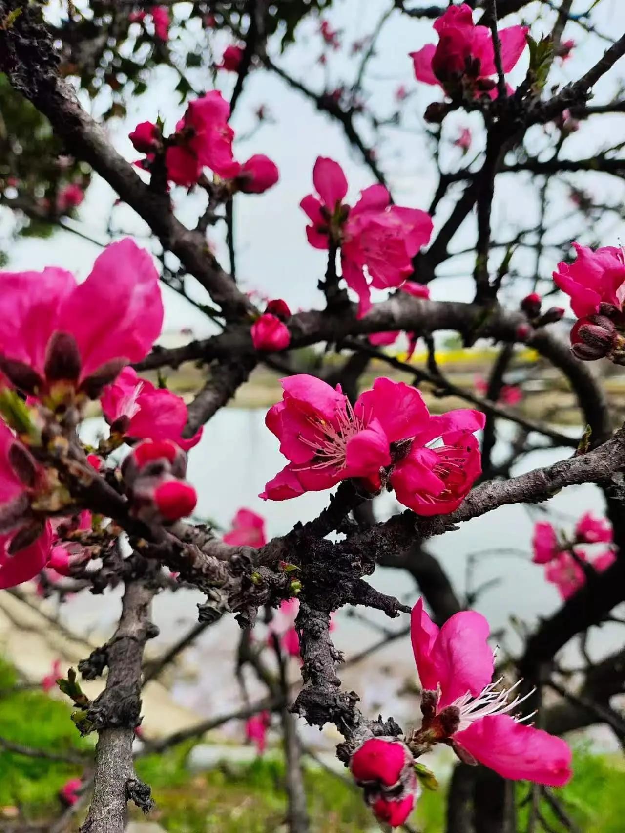 没什么好说的就表演一个美女发朋友圈。