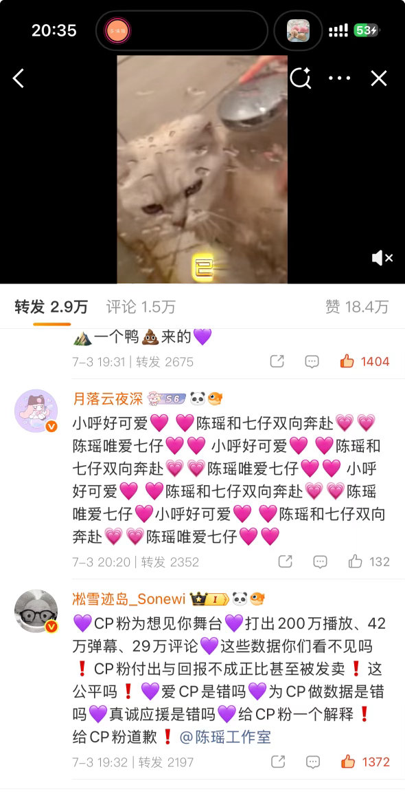 哇转赞比好飒 