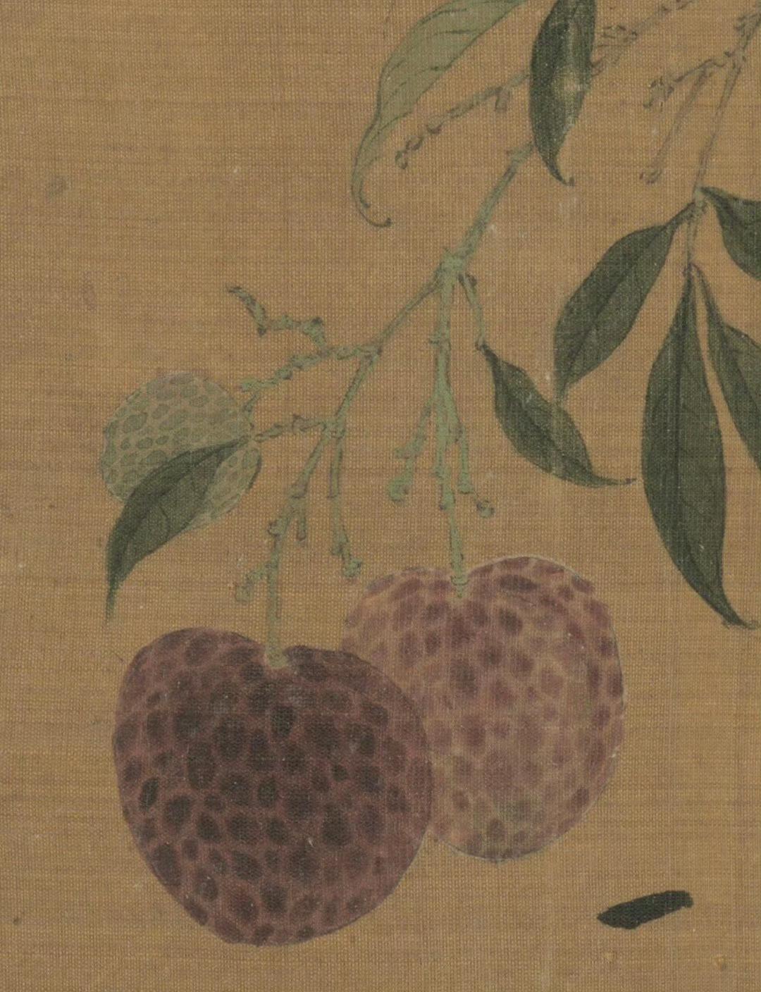 北宋赵佶（传）的《红荔山禽图》，小小的册页却蕴含着大大的艺术魅力。绢本设色，色彩