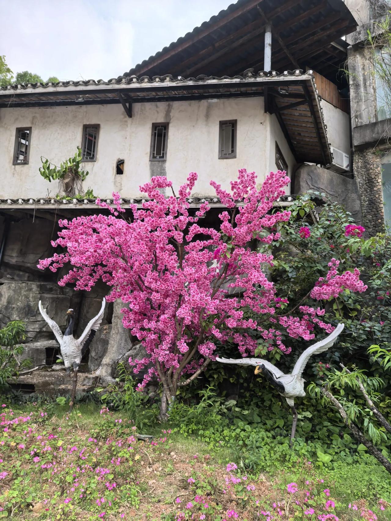 七律 乙巳年五一节游深圳观澜山水田园

观澜何必苦参禅，
逝水焉能咒逝川。
万树