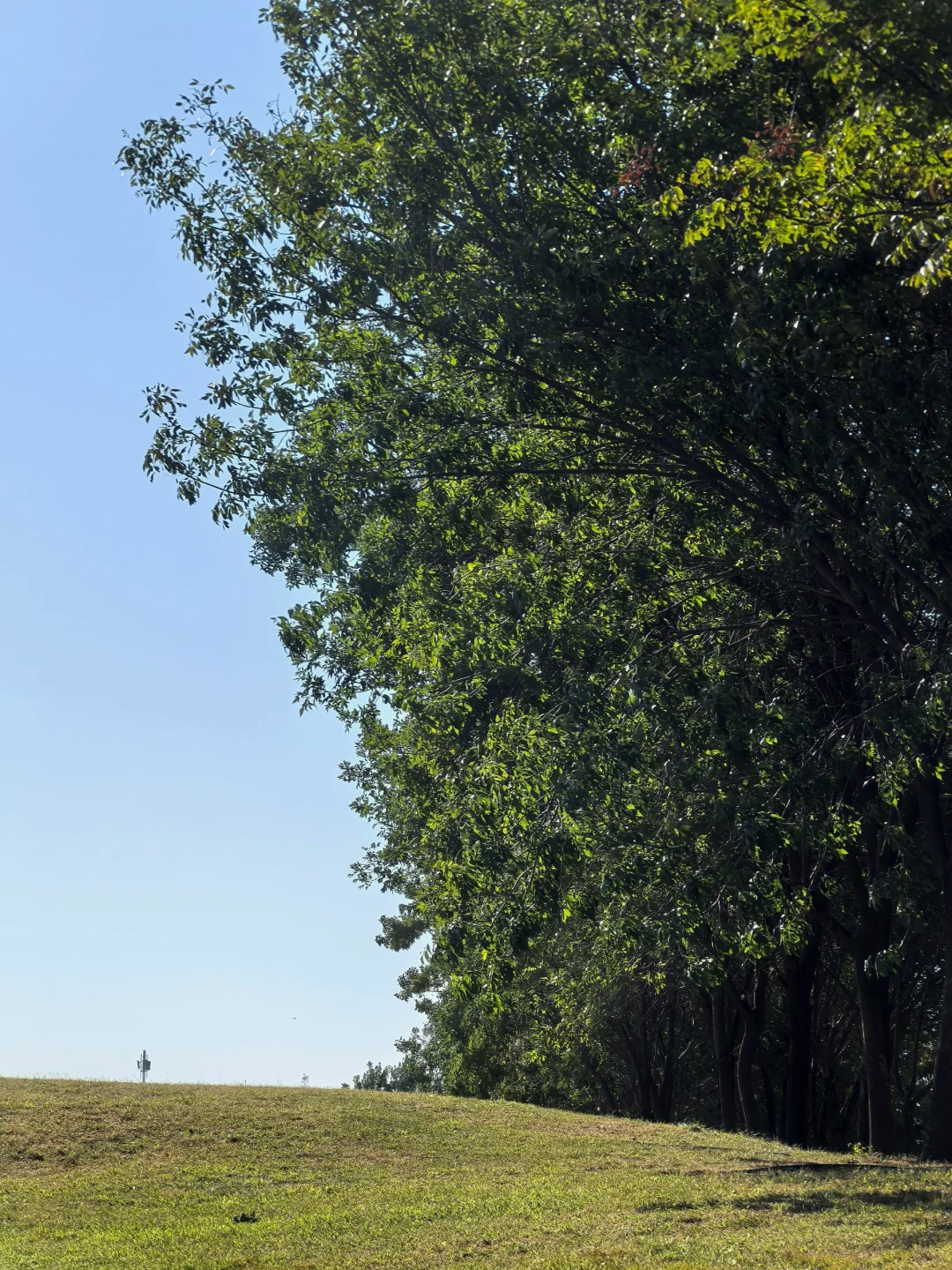 9.23青岛街头实况 天气优＋＋