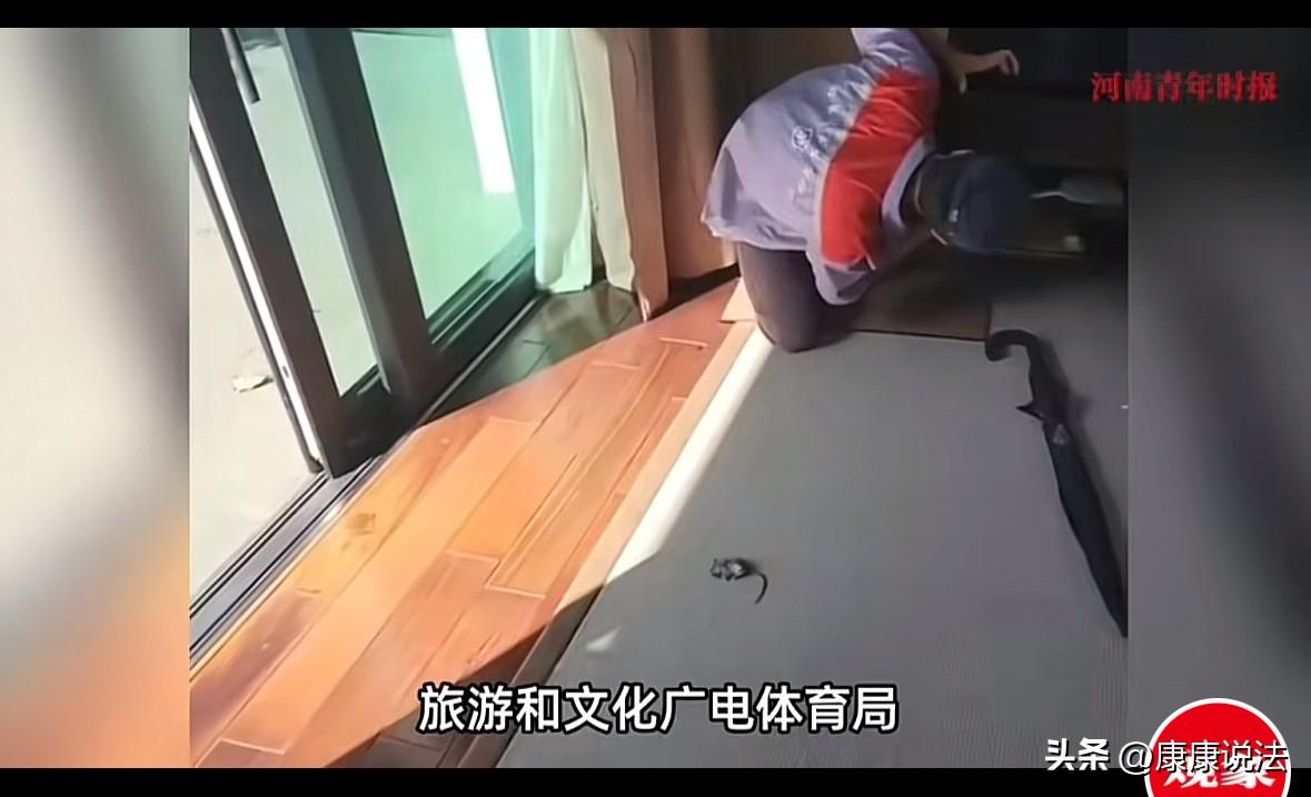 扎心了！一男子入住海南某奢侈酒店，仅一晚费用高达9800元。结果半夜，房间内竟然