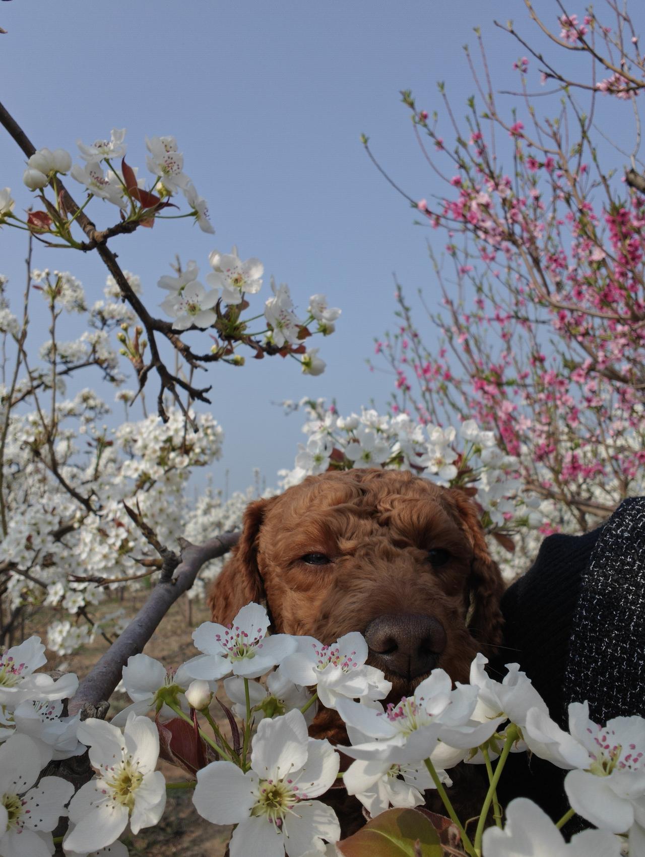 从油价涨了，一直开电车。想着也得开开油车，别把电瓶放坏了。

就和儿媳妇开车出来