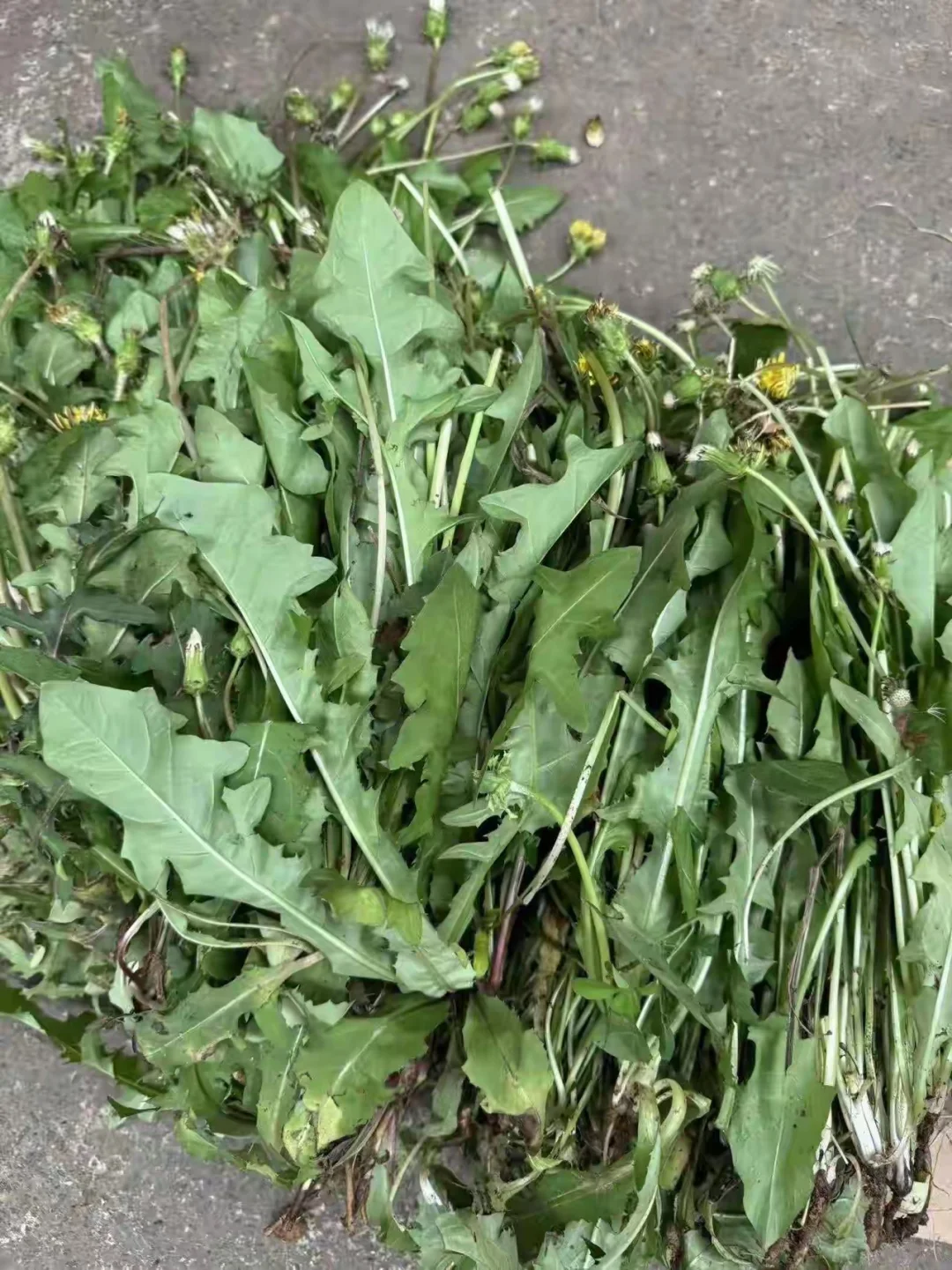 “可以问个问题吗？”这句话非常糟糕。 首先，这句话在逻辑上是讲不通的。...