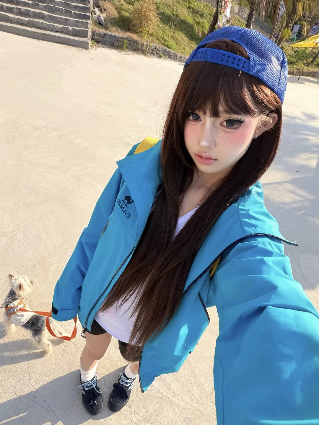 夏 日 复 蘇 🦴🍏