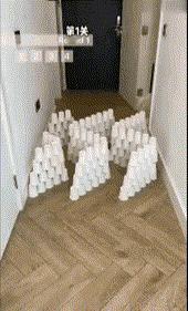 想考验一只灵活的猫咪，那是不可能的事情，完全不可能。