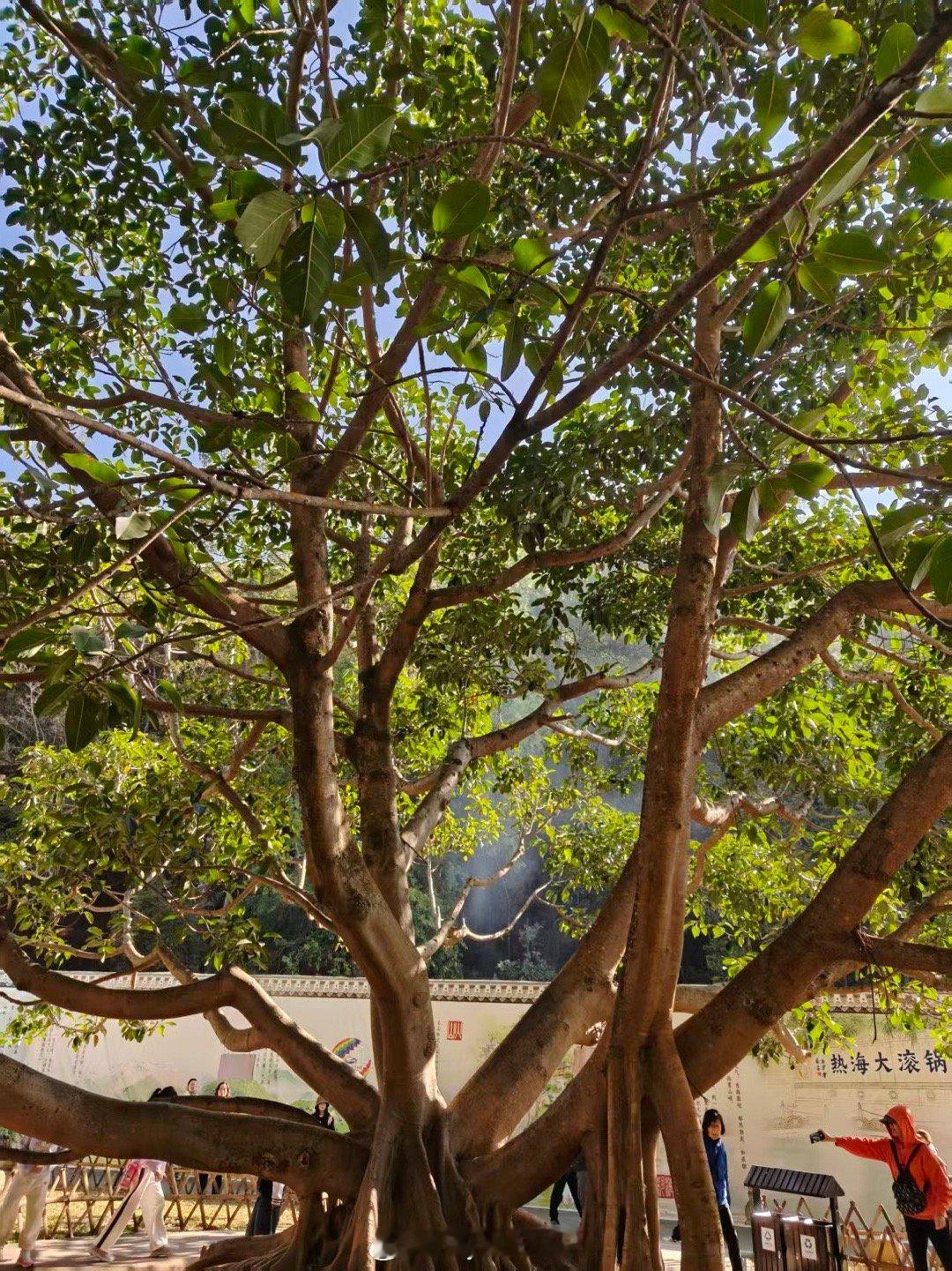 蔚来车主看到它会想到什么？ 