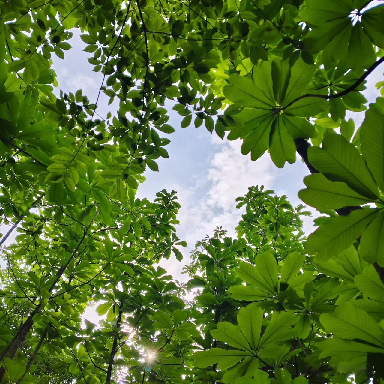 那么现在的人不结婚，动不动就离婚，感情随便，分分合合，又孤独到老，现在一切都不正