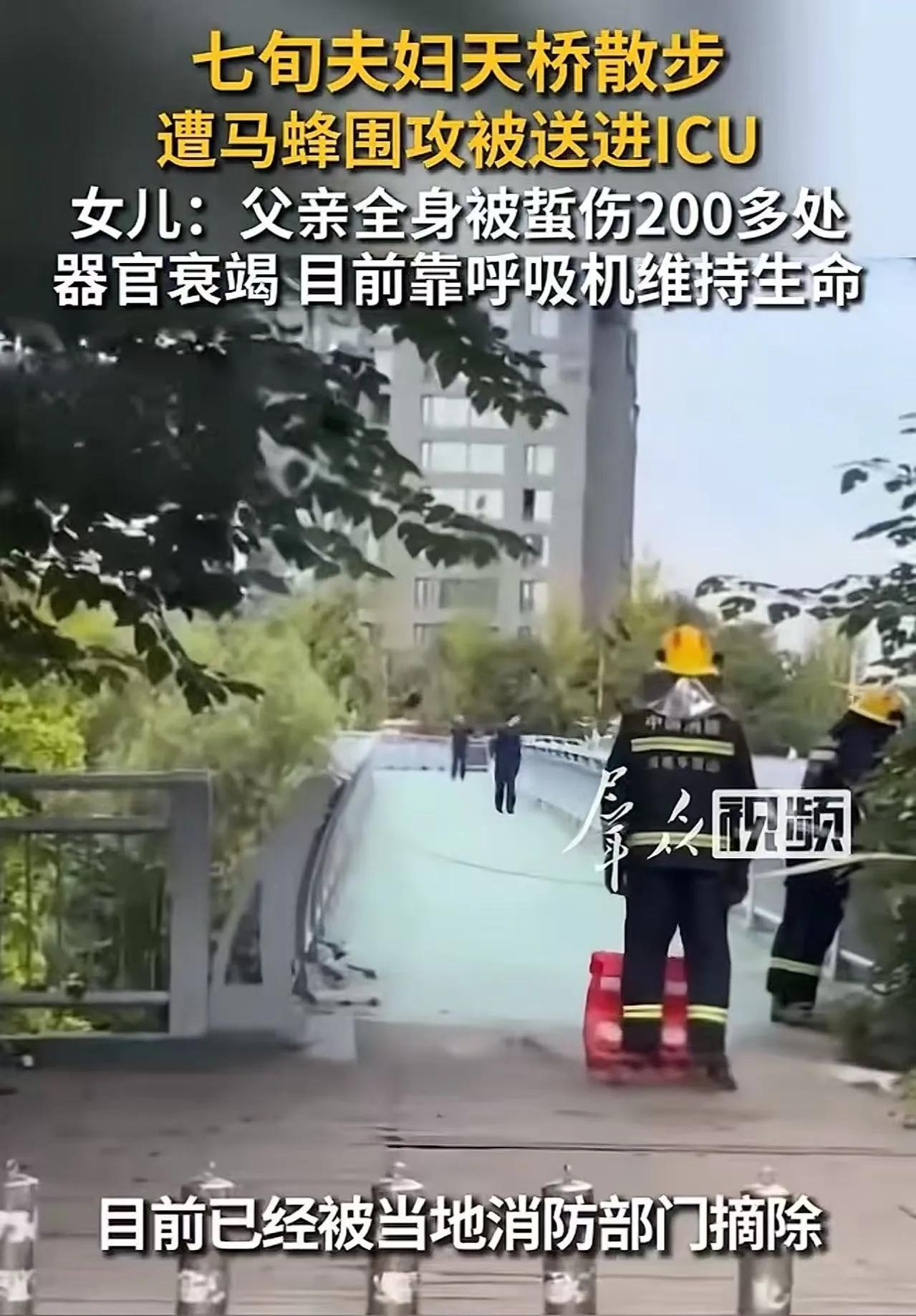 “谁来担责？”河南汝州，70多岁大爷牵着老伴出门遛弯，经过人行天桥时，突然遭马蜂