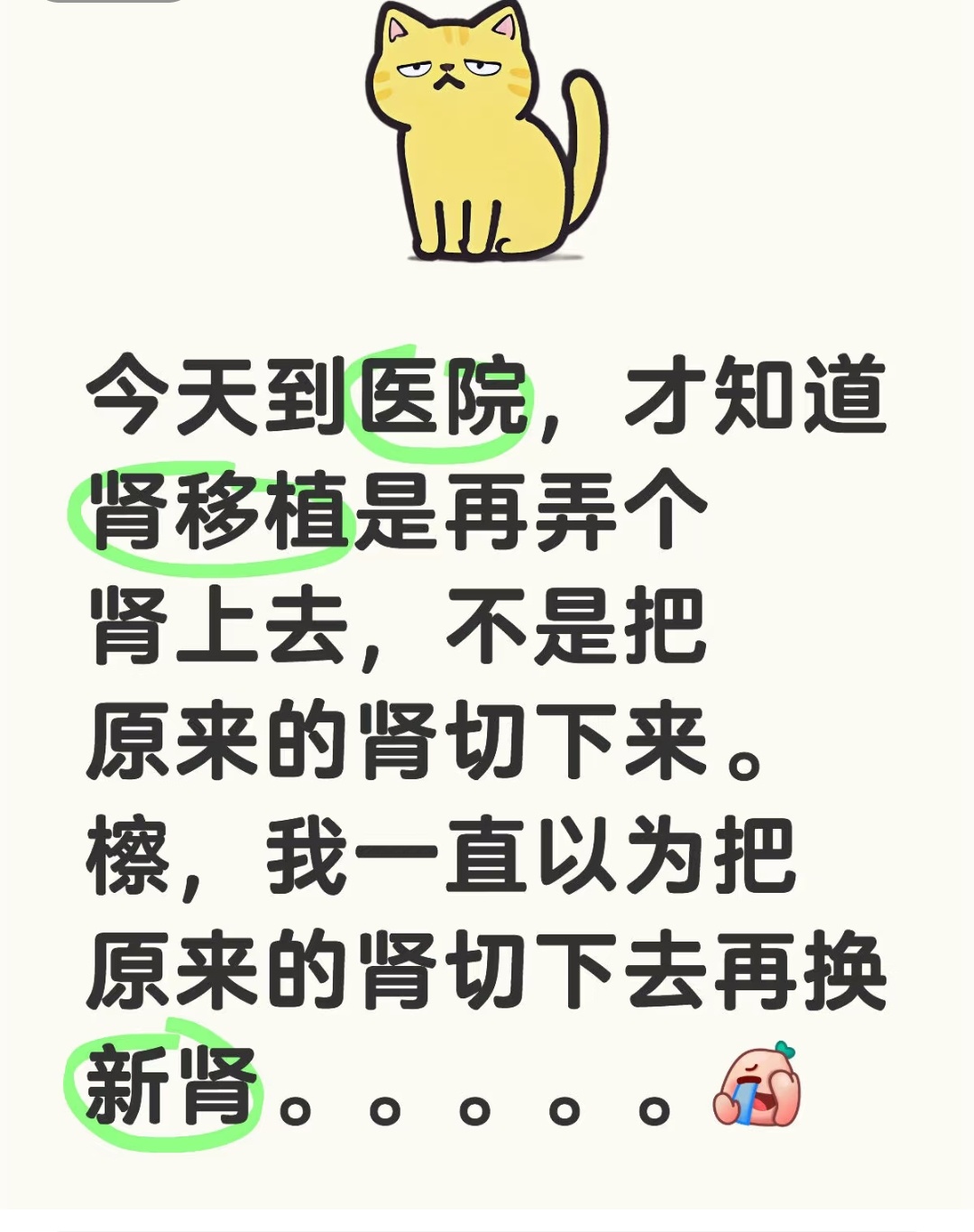 肾移植不是换一个肾，而是多移植进去一个肾😲而且移植的位置可以在任何地方 ​​​