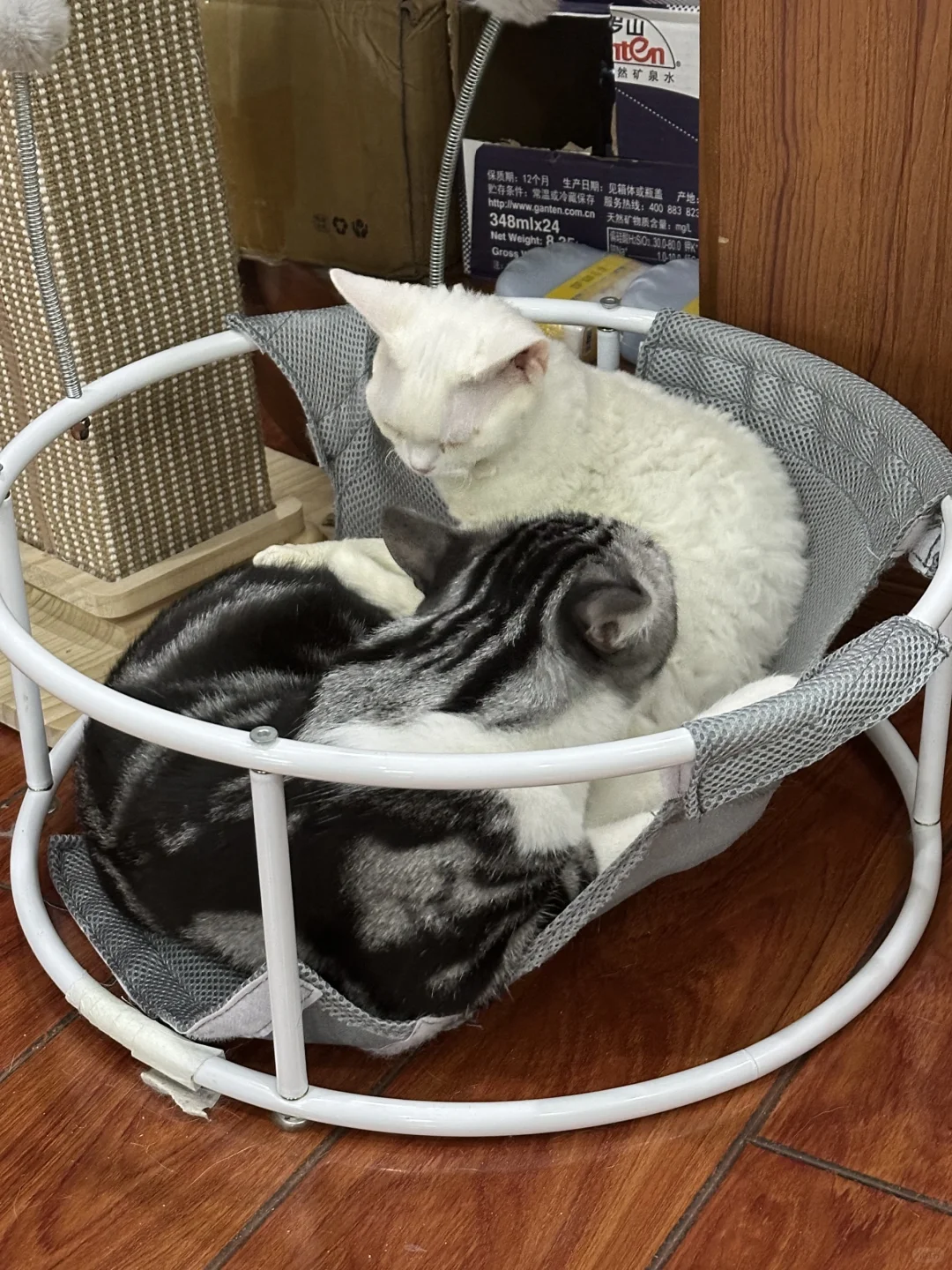 私密马赛麻麻酱 瓦达西太重了