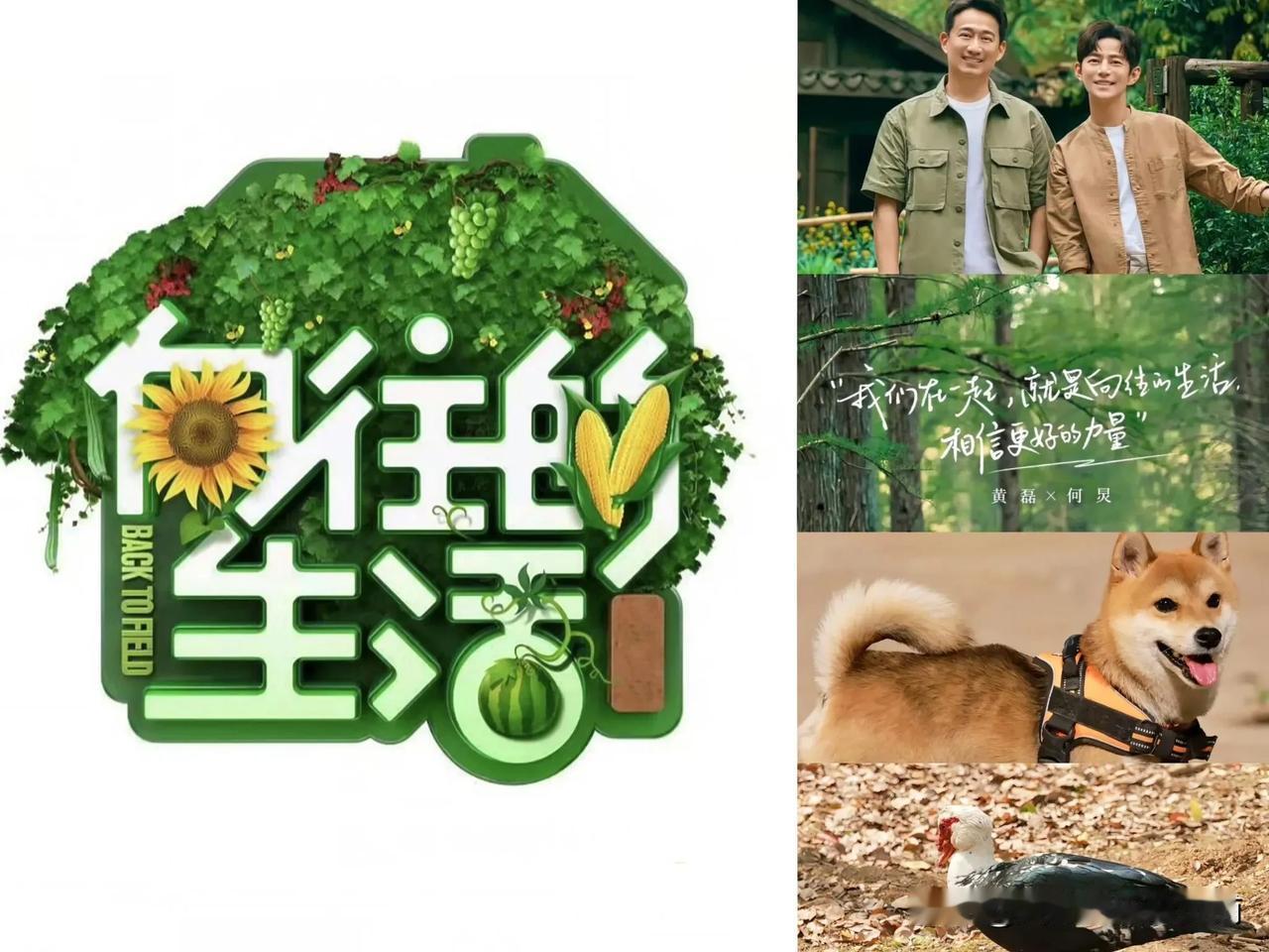近日，向往的生活官宣回归 还是原班人马！黄磊 何炅 张子枫 彭昱畅 最后还有我们