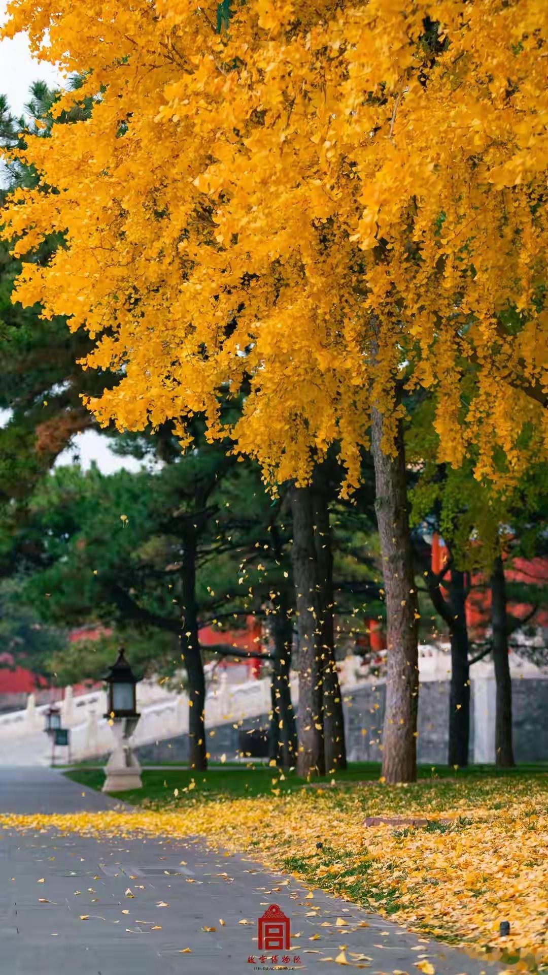 中医3大“万能方”！能调百症，其中一个还是现代创新，一文讲透中医千百年临床实践孕