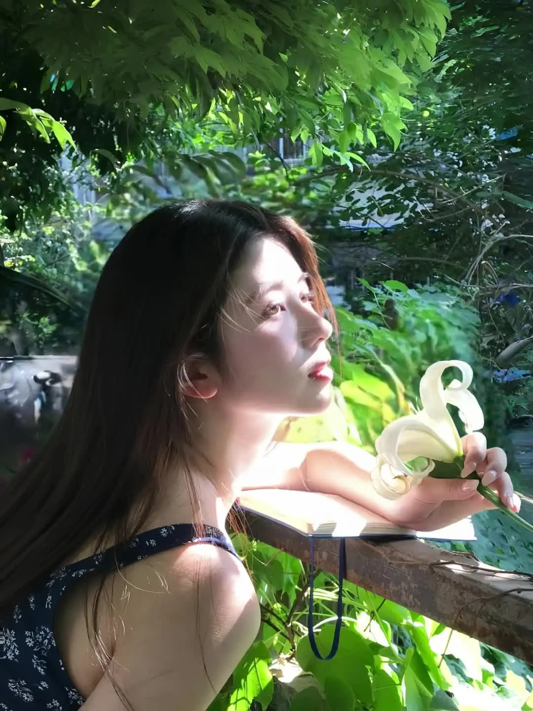 我承认我想你了 但是亲爱的拜托别接我电话