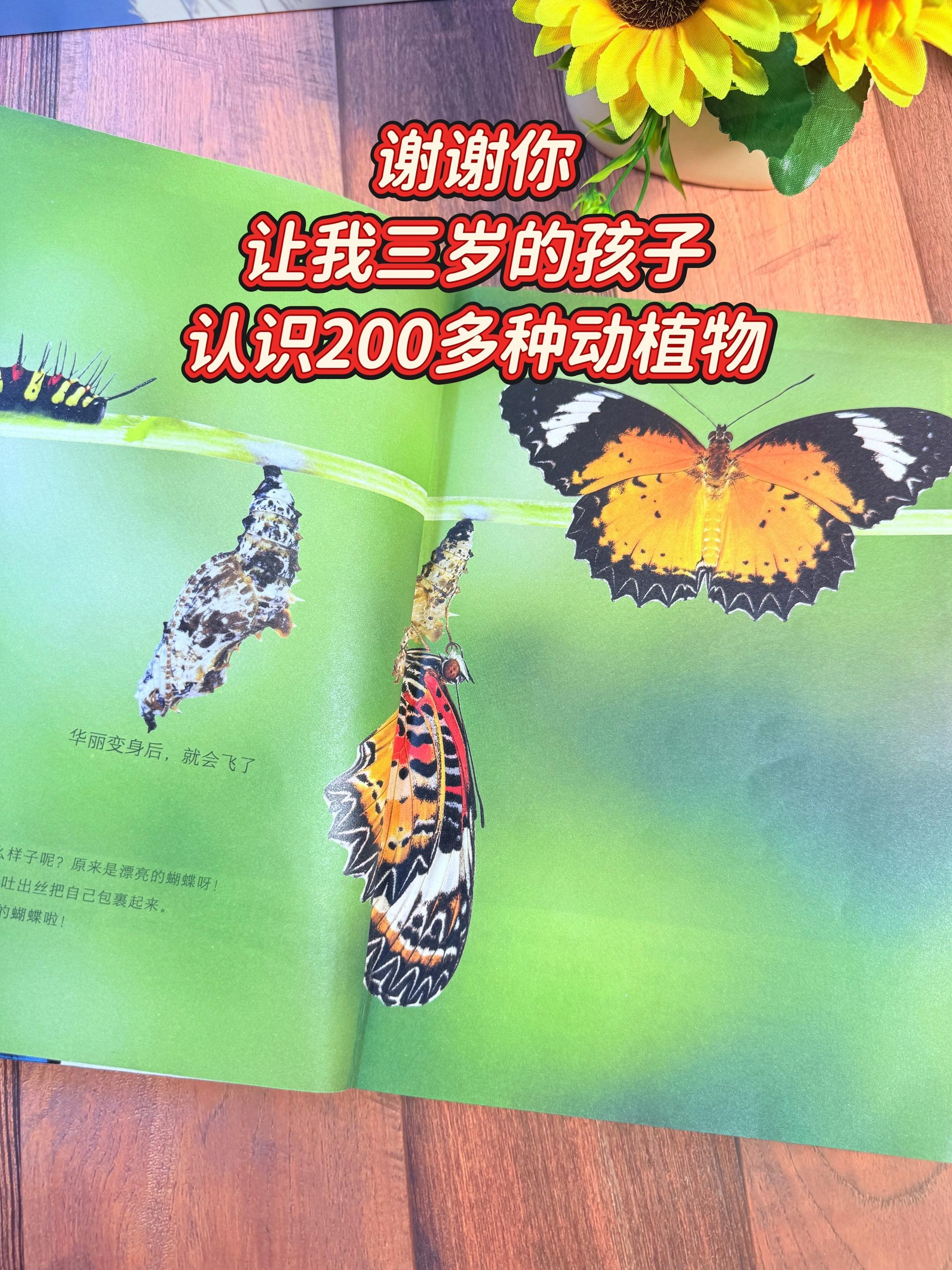 3岁就可以看的动植物科普书！全部高清实拍大图一共2本 每本都有足足25...