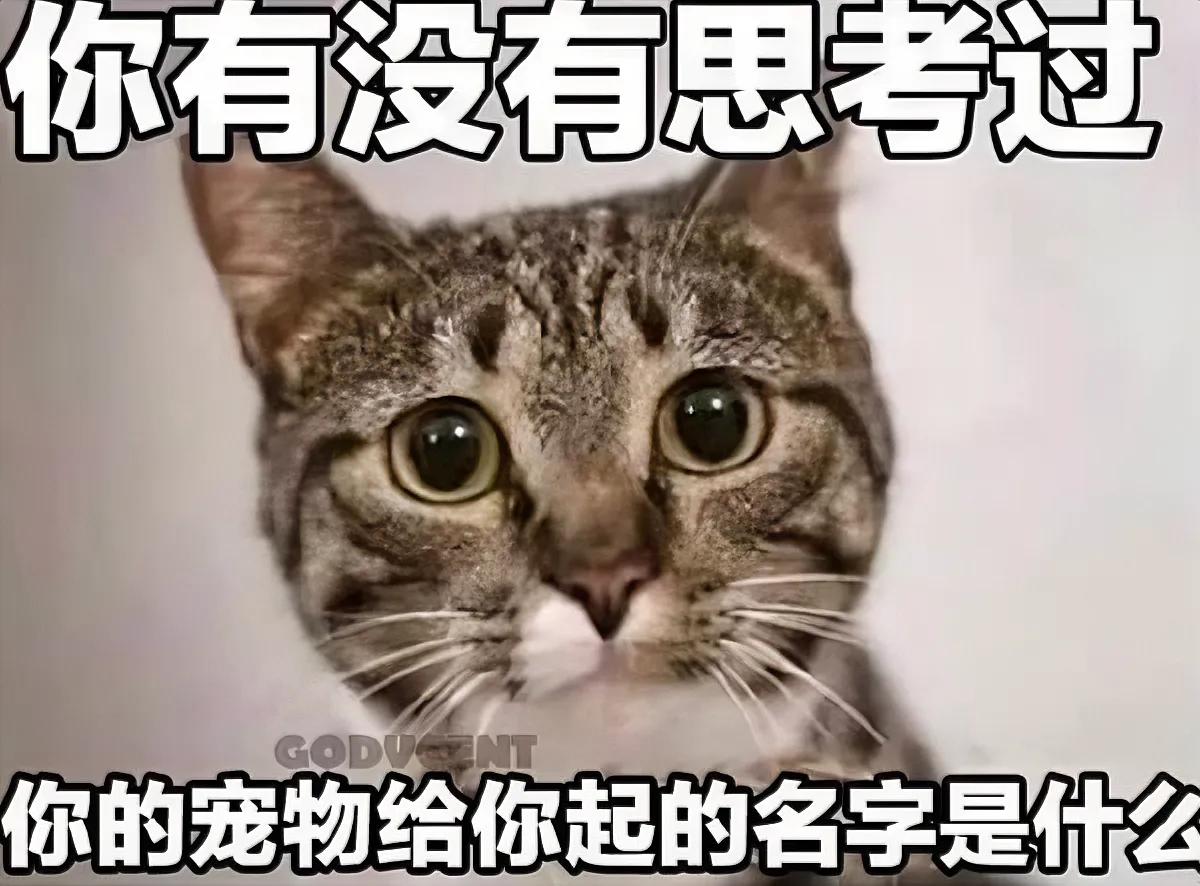 一定是一个特别的名字。