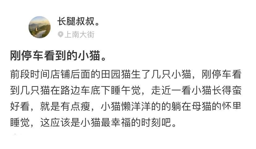 小猫和妈妈在一起的幸福时刻[抱一抱]#小猫和妈妈在一起的幸福时刻##我的春日狂欢