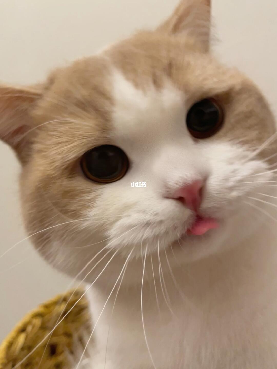 人、泥在害怕什么