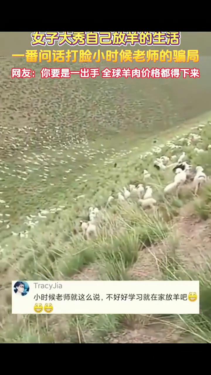 女子大秀自己放羊的生活，一番问话打脸小时候老师的骗局。
网友：你要是一出手全球羊