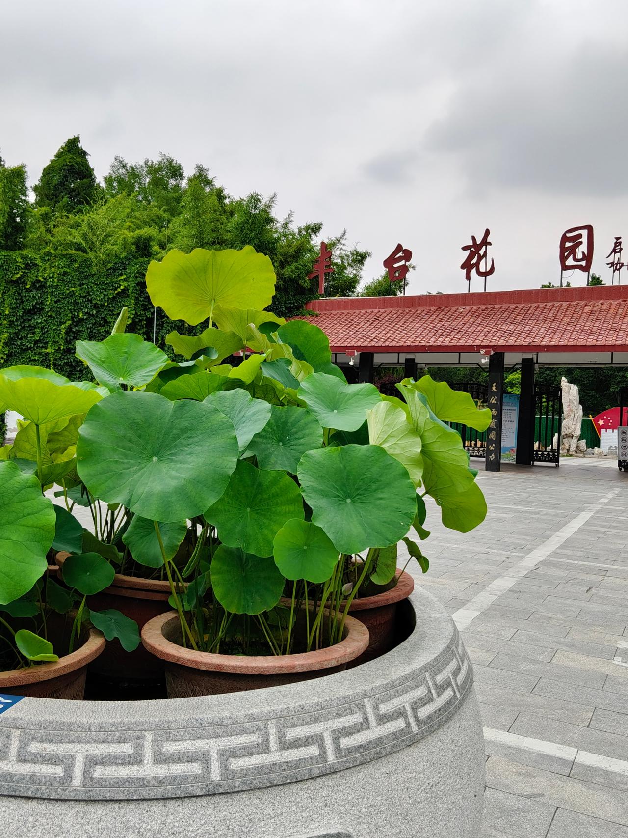 早上出门顺带扔两个大纸箱子，差点儿引起纠纷。
我们家小区里有个外地大姐，是前些年
