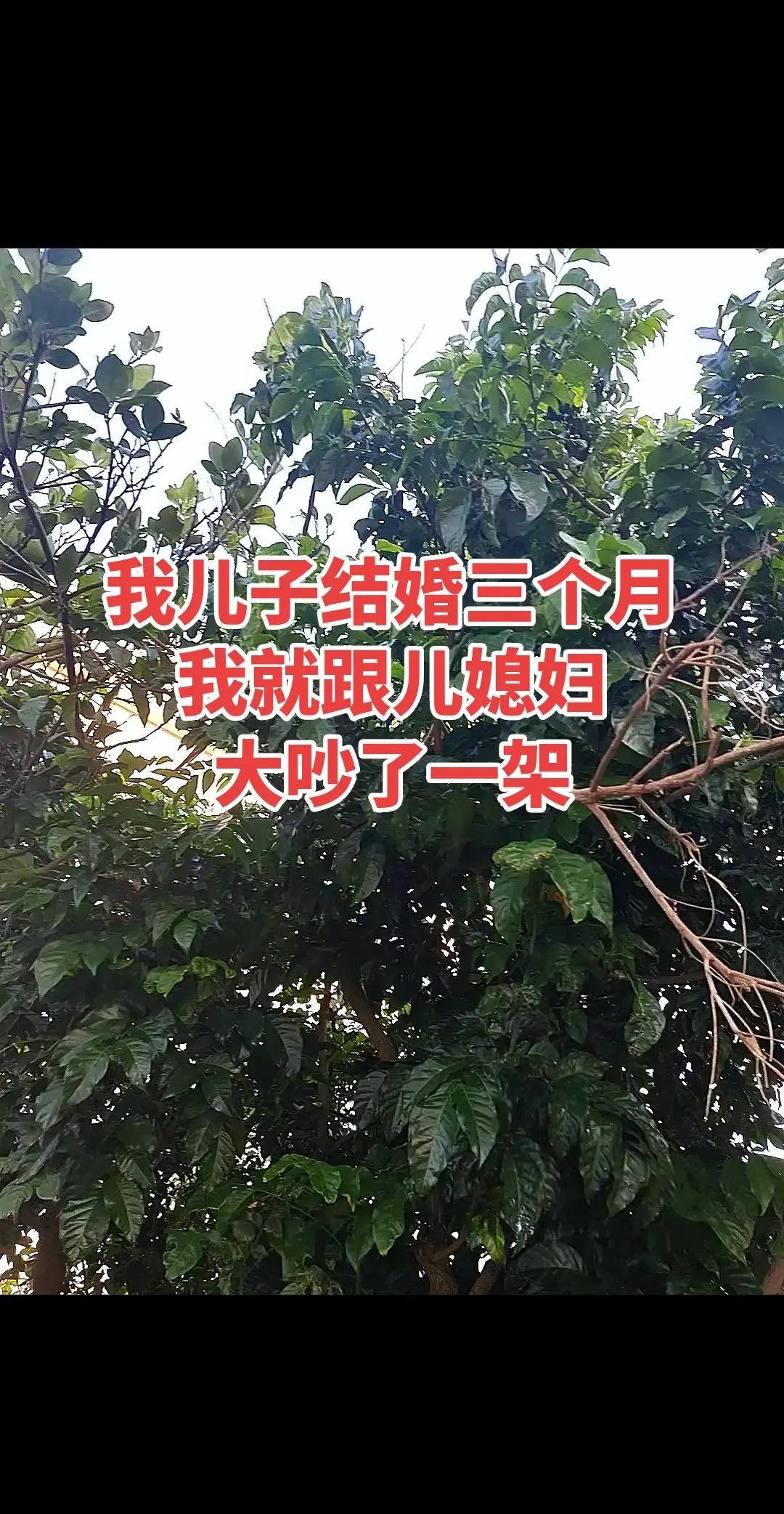 男篮遭四连败郭艾伦18分钟高效砍下19分了板2助攻！法拉利再老也比拖拉机强郭艾伦