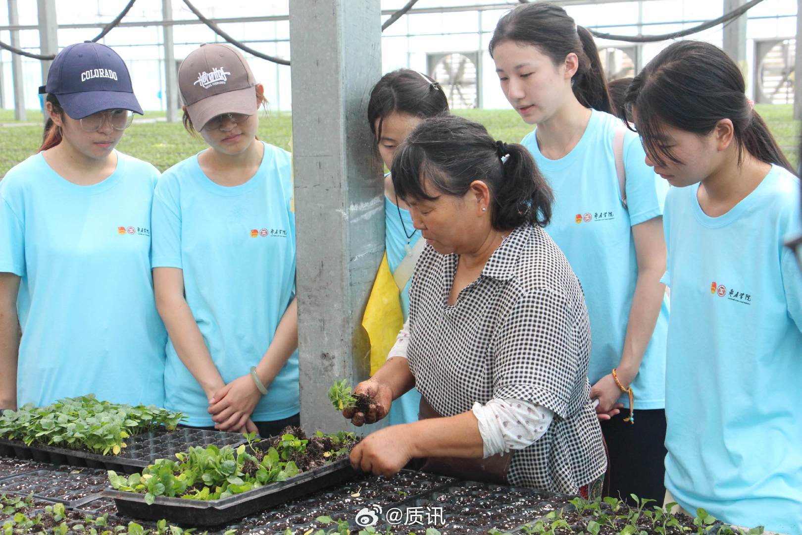 山东学子AI下乡赋能智慧农业枣院学子开展暑期社会实践 【俯身农事第一线，青春聚力