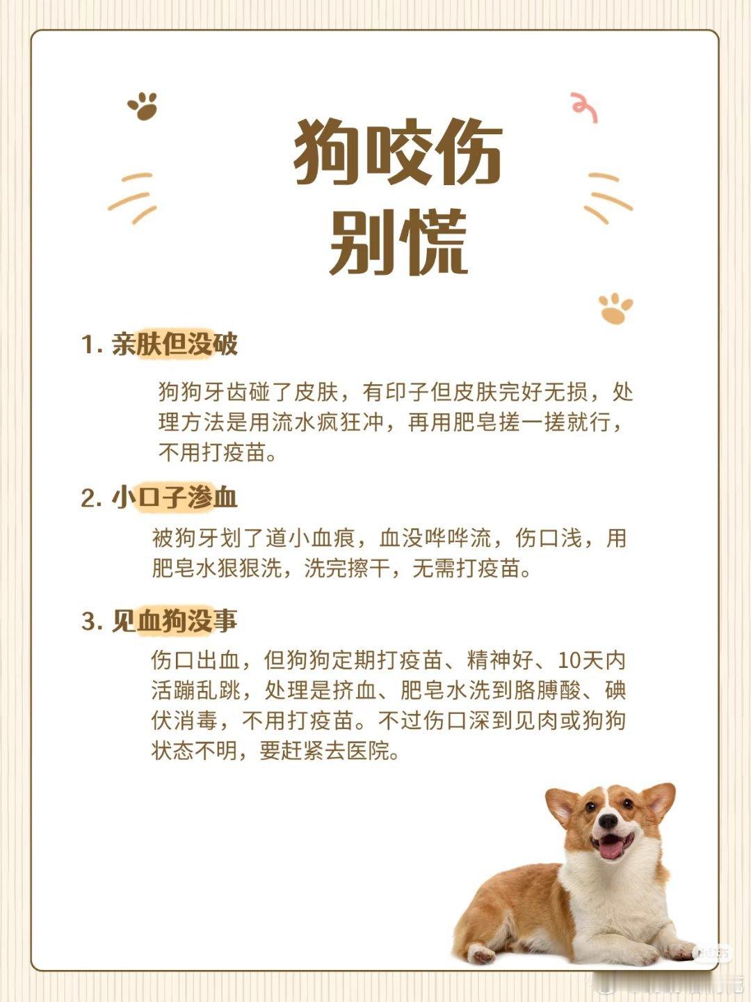 男子回应被狗咬第2天狗狗去世确实被狗咬很严重，狂犬疫苗必须打，网友也是操碎了心啊