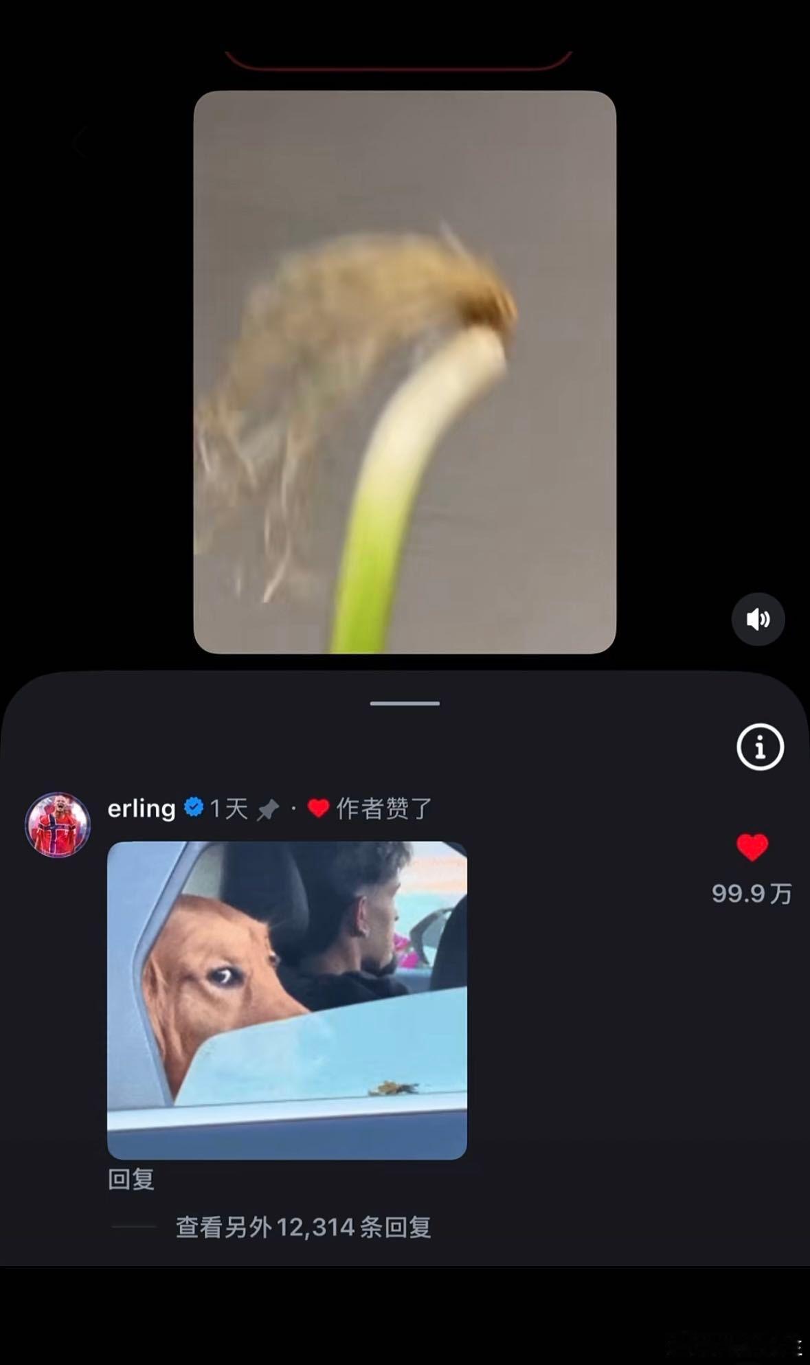 万物都能撞脸哈兰德 哈兰德撞脸大赛足坛最强撞脸王者非哈兰德莫属！赛场霸气魔人，线