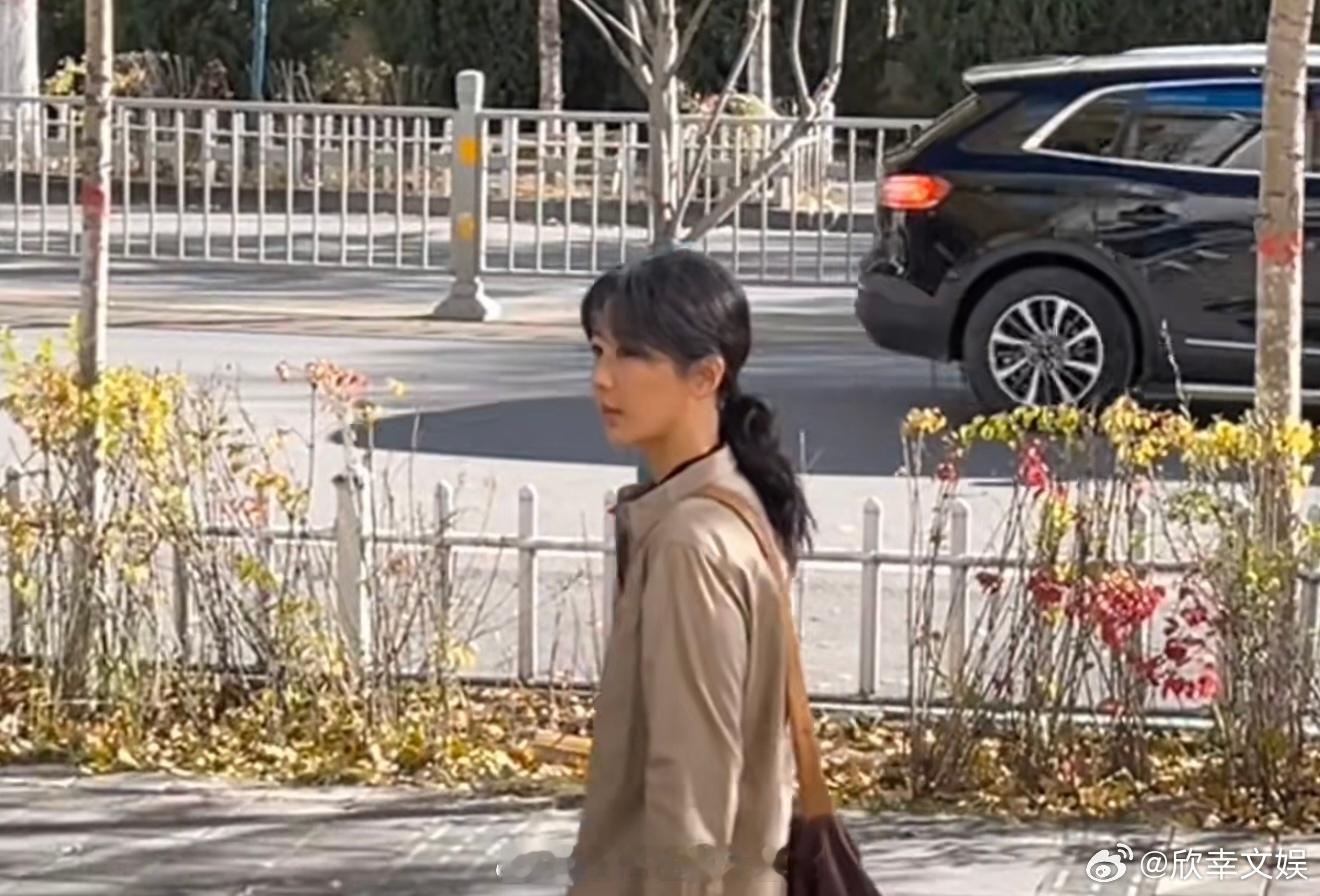 杨紫中年长发白菊路透杨紫生命树中年白菊路透杨紫中年长发白菊路透，期待，[点赞][
