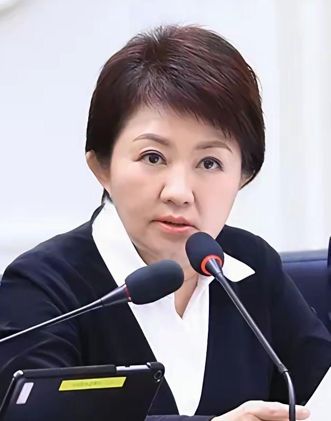 卢秀燕这段时间动作不断，频频赴美访问，力求提升个人影响力。但本质上，她依旧局限在