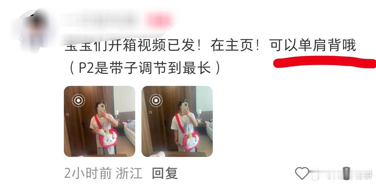 呀饼够纳福包到了，有点萌啊，还可以单肩！！！爱了爱了 