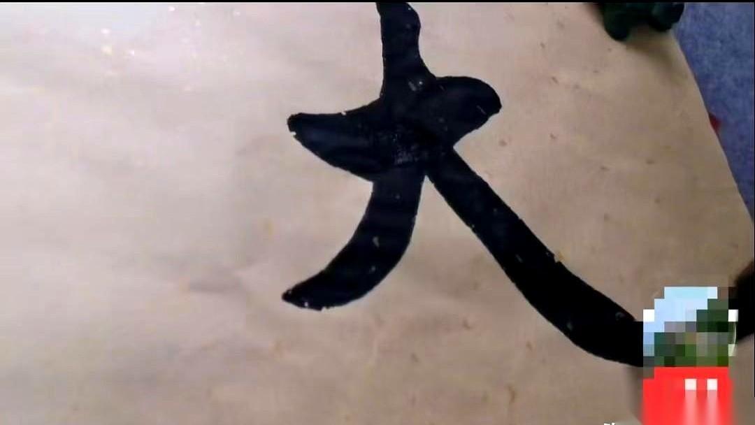 “我这是艺术，是你们不懂！”
每当看到有人把字写得龙飞凤舞、鬼画符一样，然后甩出