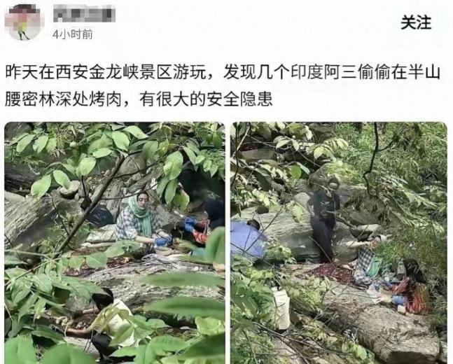 太让人气愤！印度这是把我们的森林当成他们自家后院了吗？

秦岭防火区里竟有印度籍