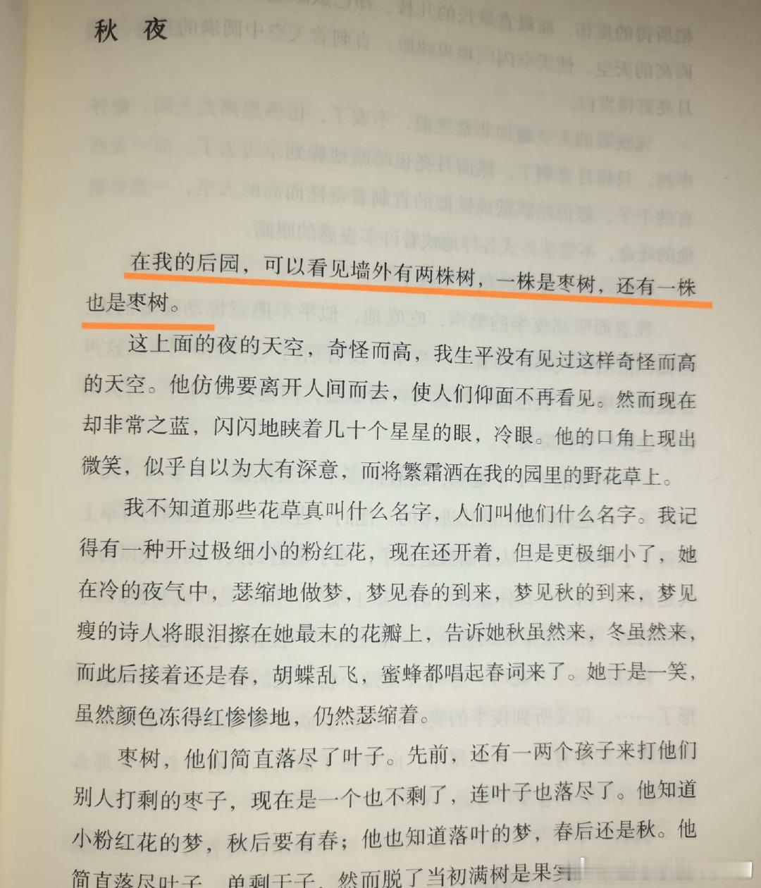 实在搞不懂调休的意义 因为调休，昨天是周一，今天又是周一[苦涩]我小的时候不太喜