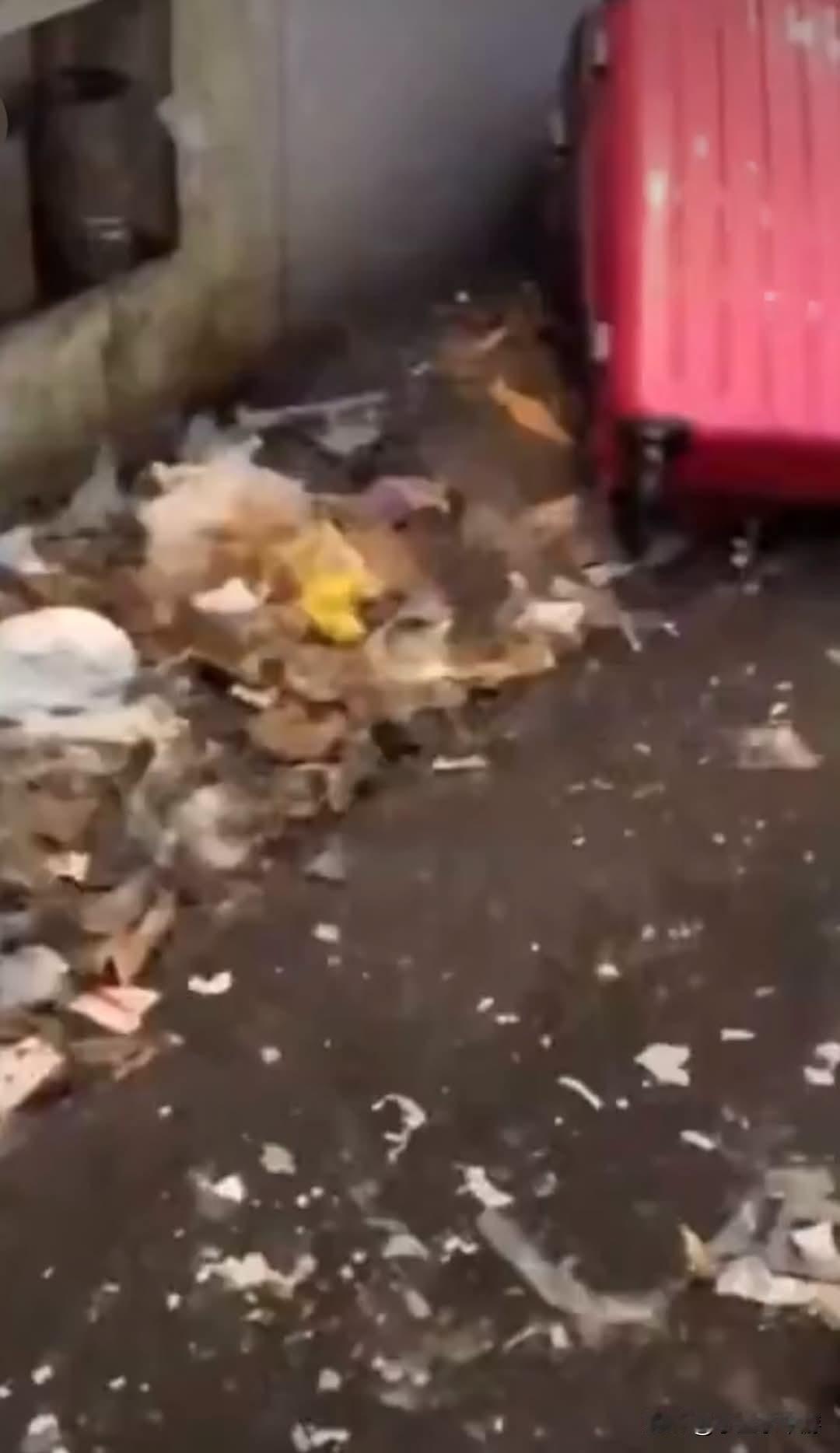 近日网上流传一段短视频，拍摄者在东京池袋的停车场与后巷角落，拍到地面散落杂物垃圾