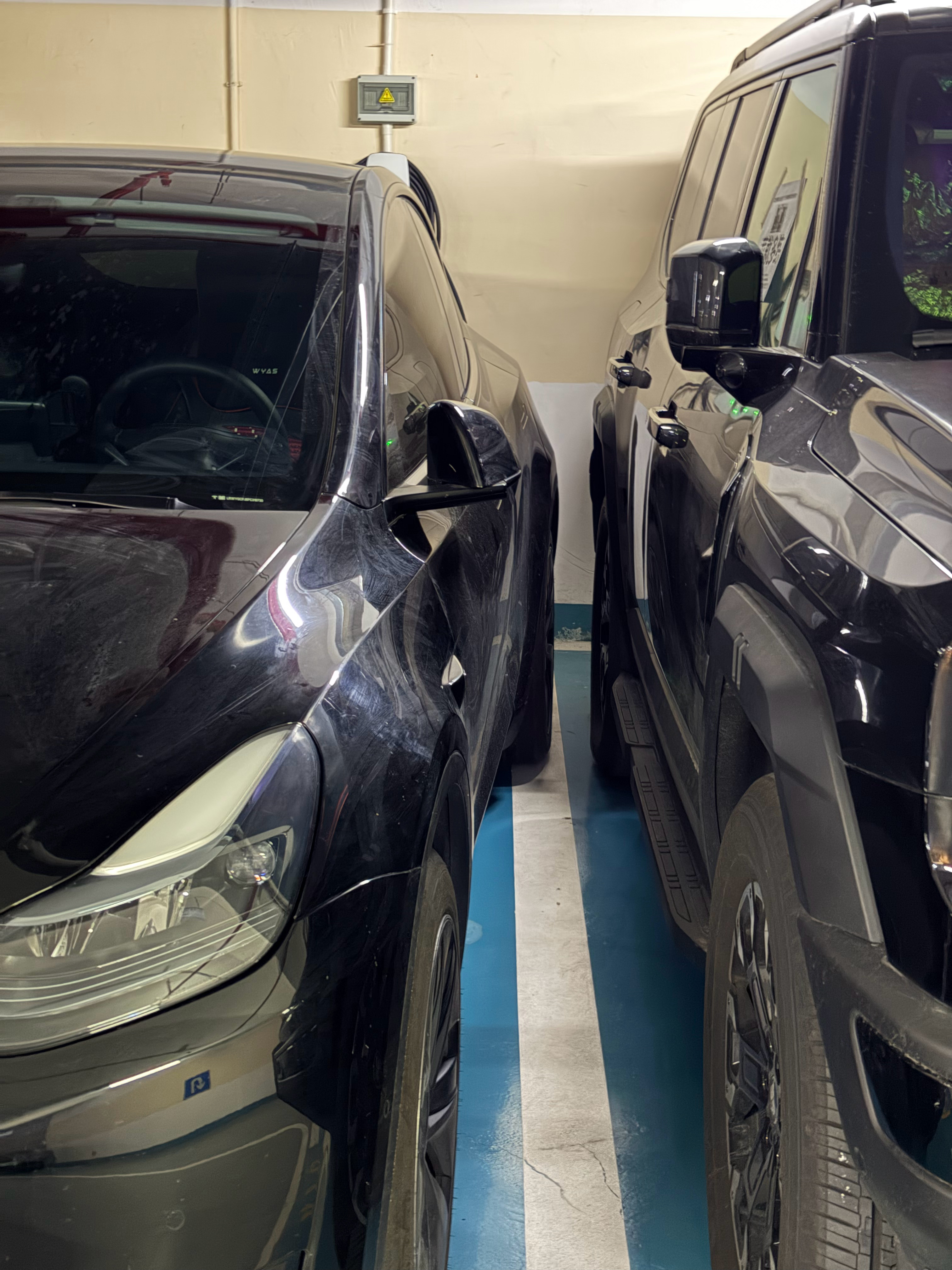 矮油邻居今天怎么没有开车上班呀？佑酱和她的小汽车 上海