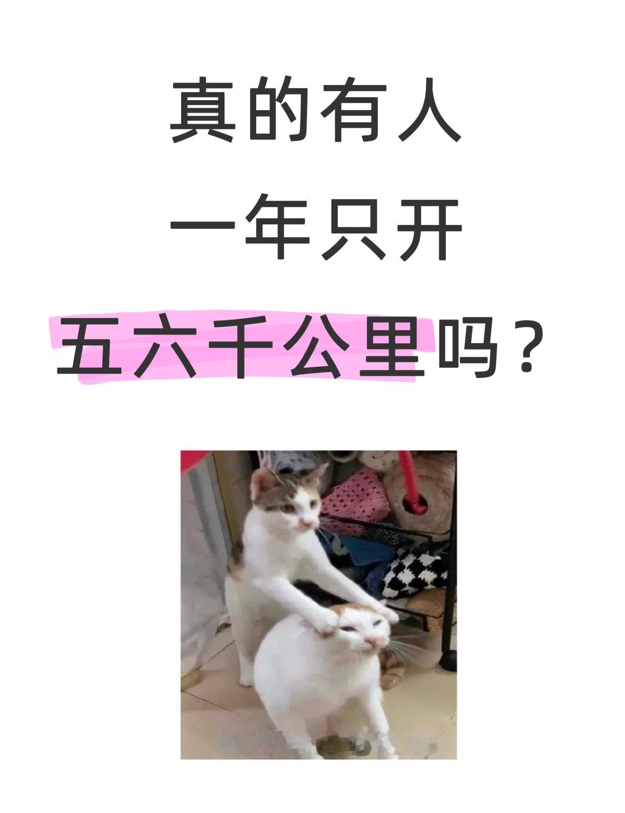 真的有人一年只开五六千公里吗？
开车 油车 油耗 省油 开车回家过年 续航里程长